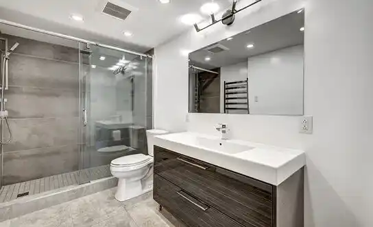 bathroom services Centreville